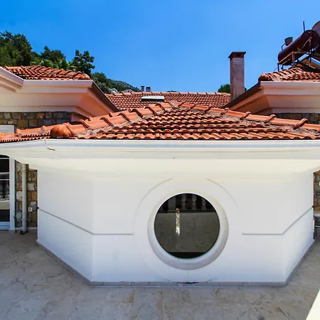 Tekce Tranquil Nature Yesiluzumlu N17 فيلة *