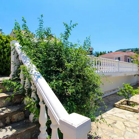 فيلة Tekce Tranquil Nature Yesiluzumlu N17 *