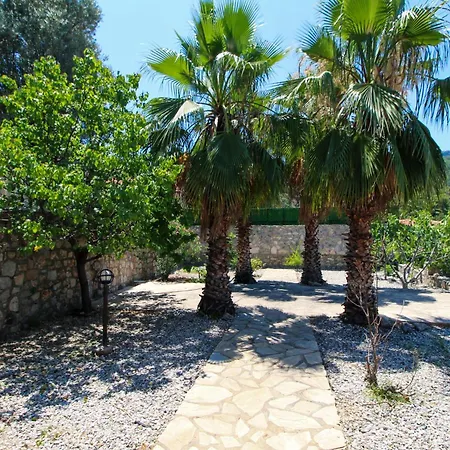 فيلة Tekce Tranquil Nature Yesiluzumlu N17 فتحية