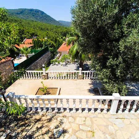 فيلة Tekce Tranquil Nature Yesiluzumlu N17